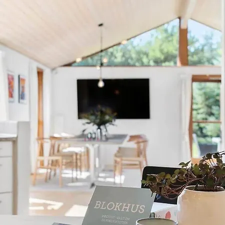 Bl1718-blokhus-ronliensvej-16 Hébergement de vacances Blokhus